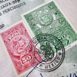 Surge in Immigration: How Recent Policies Are Reshaping America’s Future